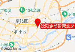 沈阳金博智慧龙之梦校区