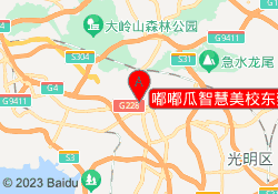 嘟嘟瓜智慧美校东莞长安校区
