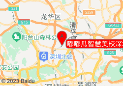 嘟嘟瓜智慧美校深圳龙岗校区