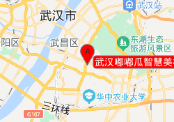 武汉嘟嘟瓜智慧美校洪山校区