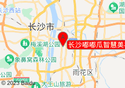长沙嘟嘟瓜智慧美校芙蓉校区
