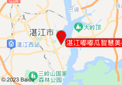湛江嘟嘟瓜智慧美校万达校区