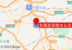 东莞菲菲樟木头永宁街校区