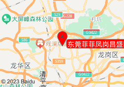 东莞菲菲凤岗昌盛南路校区