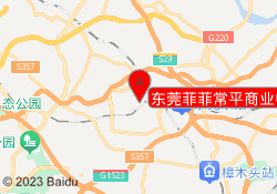 东莞菲菲常平商业中心校区