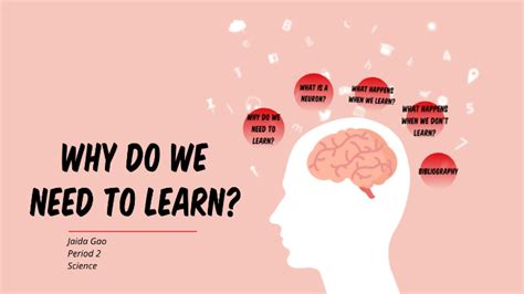 深圳ACT培训机构需要学习什么内容