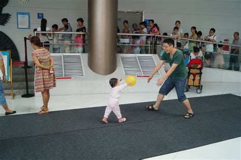 深圳少儿英语视频