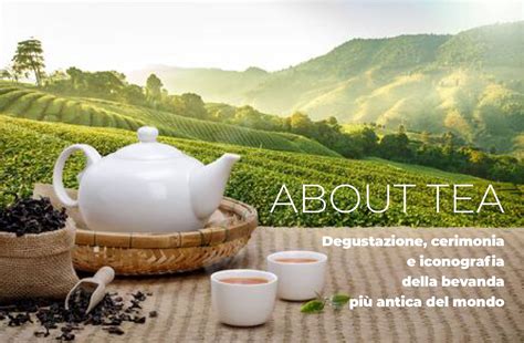 大连十大评茶员培训机构