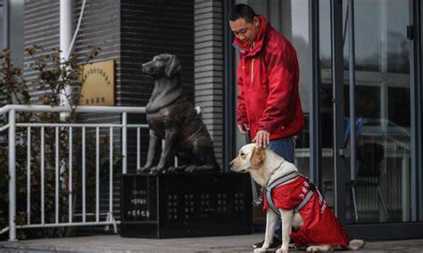 大连人力资源师培训哪家强