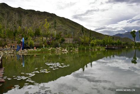 南山区意大利语暑假培训班哪家好