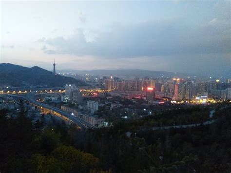 南山区意大利语暑假比较好的培训班