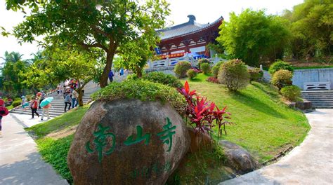 南山区西语培训机构