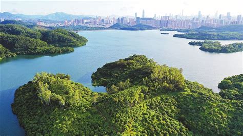 罗湖区学西语
