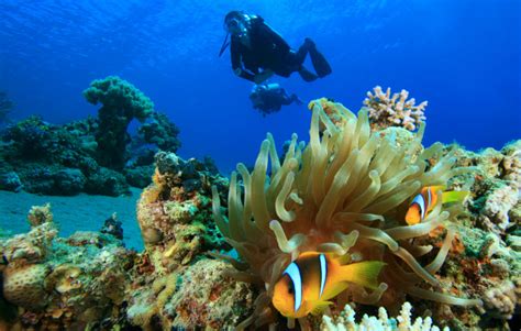 深圳学雅思多少钱