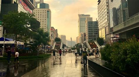 【深圳福田专业花艺哪个好】