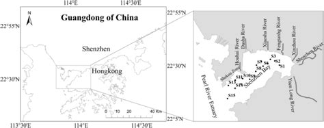 深圳学形象礼仪费用