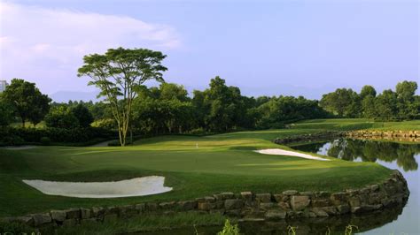 深圳国际文学衔接课