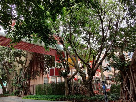 深圳seo学习中心学费