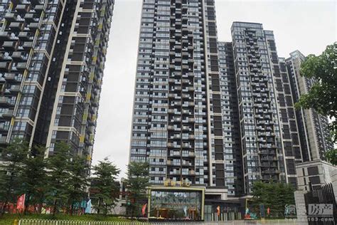 深圳电子商务学院培训班价格多少