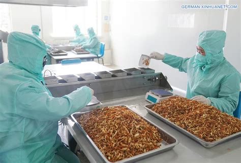 哈尔滨德语强化哪里好
