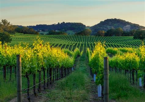 哈尔滨至尊商务学习