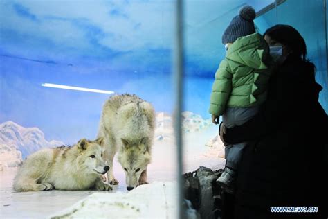 哈尔滨专业西班牙语培训