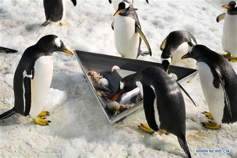 哈尔滨西班牙语招生