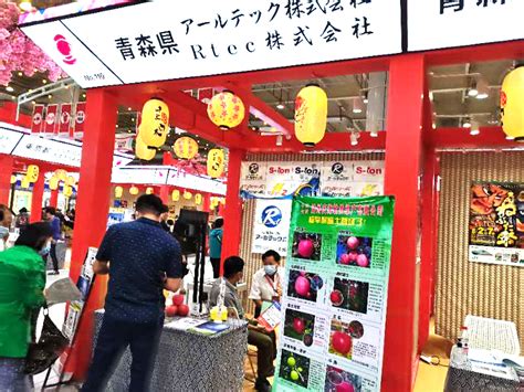 大连报考二级建造师报考条件