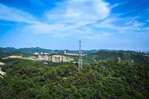 大连一级造价师哪个好