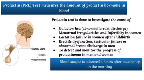 哈尔滨催乳师报名培训内容