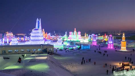 哈尔滨好的茶艺培训机构