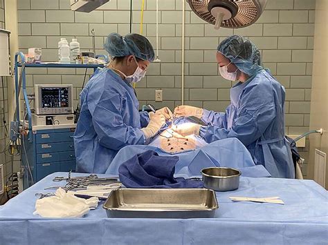 哈尔滨乳房健康管理师课程