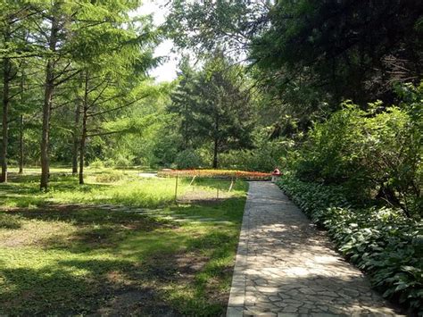 哈尔滨哪里有ui设计培训