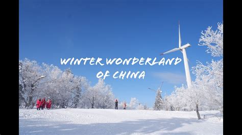 哈尔滨考研寒假集训营