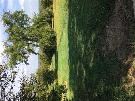 哈尔滨卡耐基课程培训班好不好？