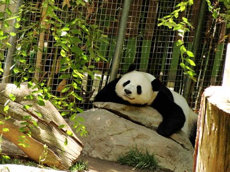 白云情商口才培训机构