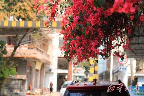 白云区好的口才培训