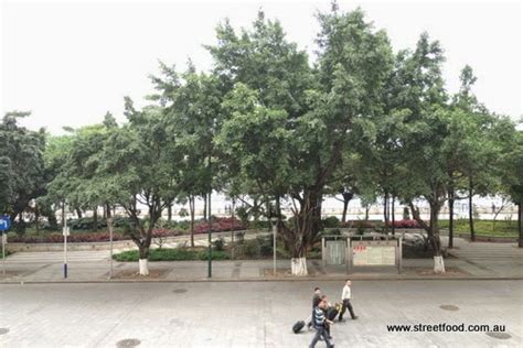 广州交际口才培训班多少钱