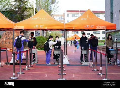 长春高级草图大师