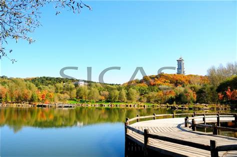 长春学java哪里好