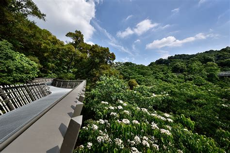 福州全链路ui设计学什么