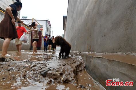 涿州一级造价工程师培训