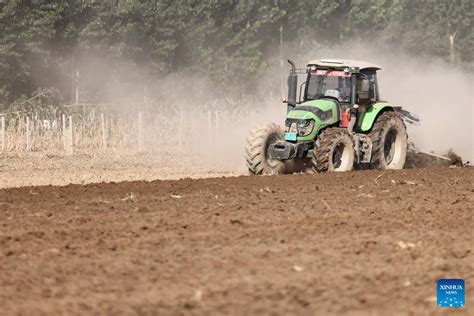 涿州健康管理师培训机构哪个正规 涿州在线健康管理师培训 涿州健康管理师培训书