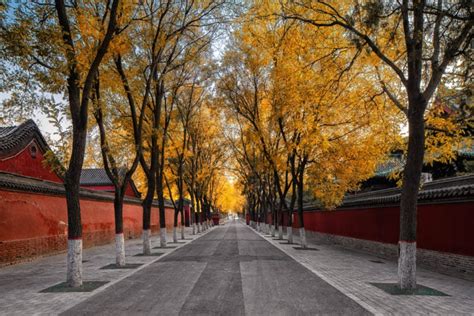 石家庄哪里有初级碳排放管理师培训