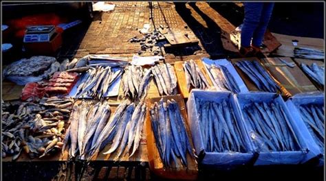 哈尔滨南岗区学好开店正宗小吃