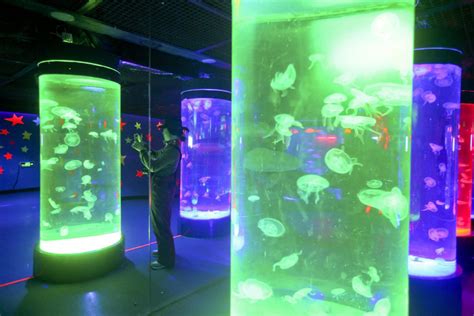 哈尔滨五谷鱼粉课程有什么？