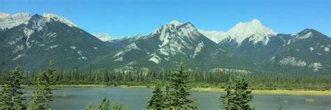 哈尔滨四川苕粉培训