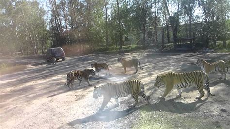 哈尔滨炸鸡技术培训班