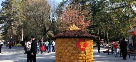 哈尔滨哪里有包子培训