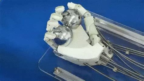 保定哪里有比较好的少儿编程培训